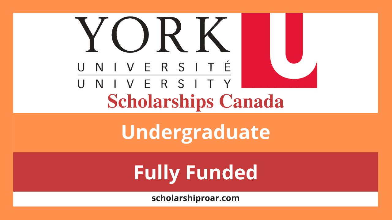 Unlocking Opportunities: The University of York Scholarship 2024