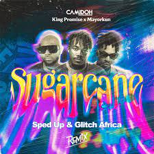 Camidoh’s “Sugarcane Remix”: A Melodic Fusion with King Promise, Mayorkun, and Darkoo