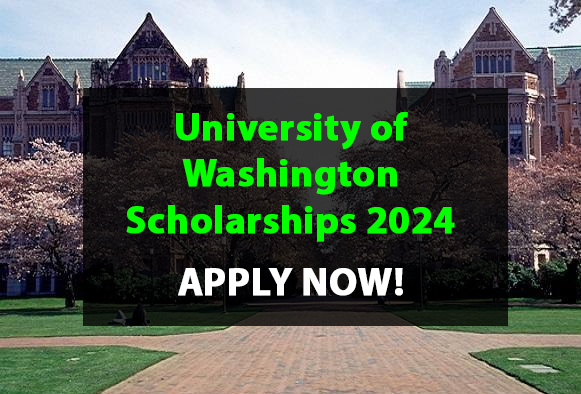 University of Washington Scholarships 2024