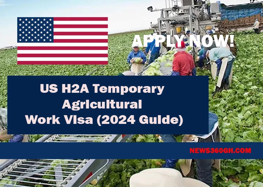 APPLY- US H2A Temporary Agricultural Work Visa (2024 Guide)
