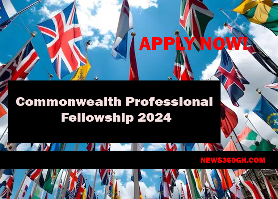 Commonwealth Professional Fellowship 2025: Enhance Your Skills in the UK